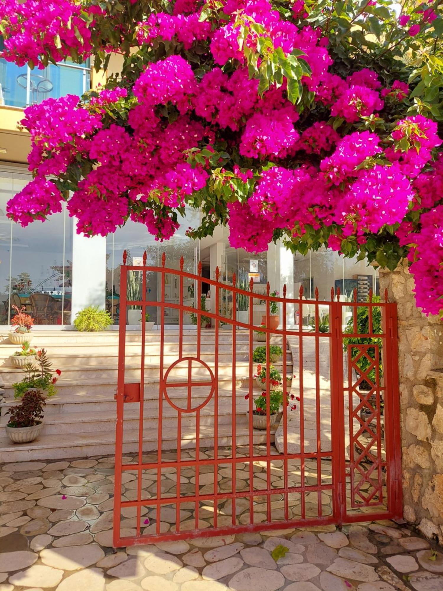 דרמי Hotel Orange מראה חיצוני תמונה